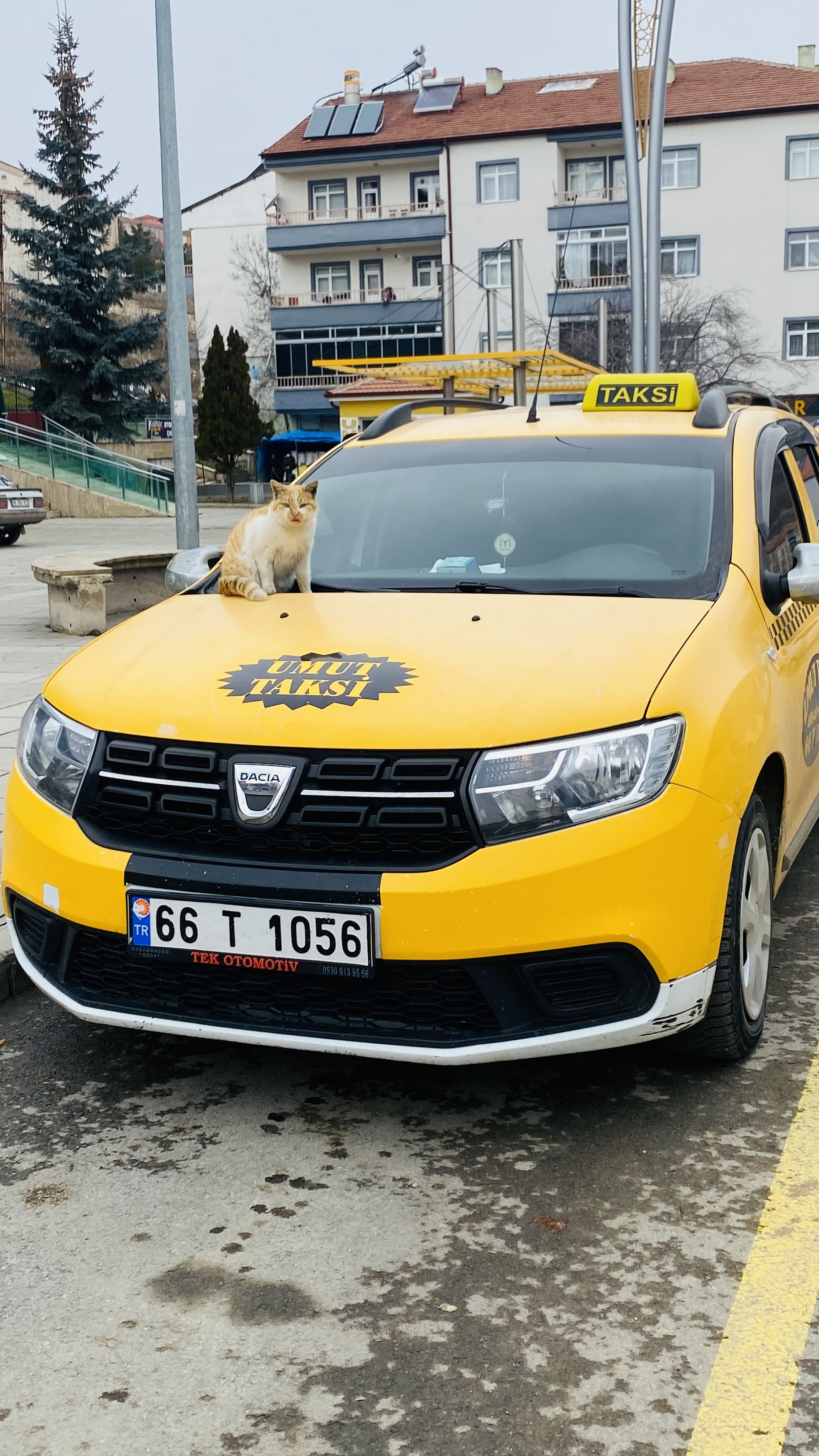 Akdağmadeni Yolları